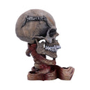 Metallica Pushead Skull 23.5cm Officially Licensed