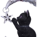 Luna Companion Moon and Cat Ornament 18.8cm 5