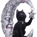 Luna Companion Moon and Cat Ornament 18.8cm 6