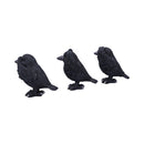 Three Wise Ravens Figurines 8.7cm 2