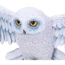 Harry Potter Hedwig Owl Wall Plaque 45cm 5