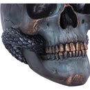 Serpentine Fate Gothic Snake Skull 19cm 6
