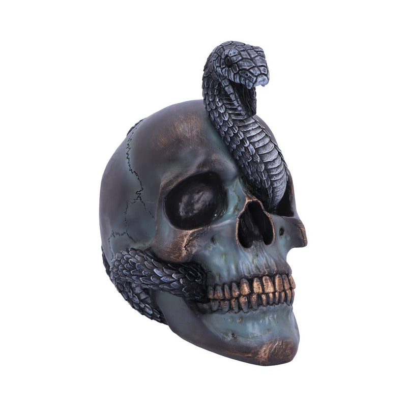 Serpentine Fate Gothic Snake Skull 19cm
