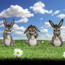Three Wise Donkeys Figurines 11cm 7