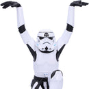 Stormtrooper Crane Kick Figurine 20.5cm Officially Licensed 5