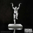 Stormtrooper Crane Kick Figurine 20.5cm Officially Licensed 8