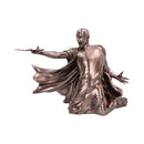Harry Potter Voldemort Avada Kedavra Duel Bronze Figurine 32cm Officially Licensed 2