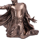 Harry Potter Voldemort Avada Kedavra Duel Bronze Figurine 32cm Officially Licensed 6