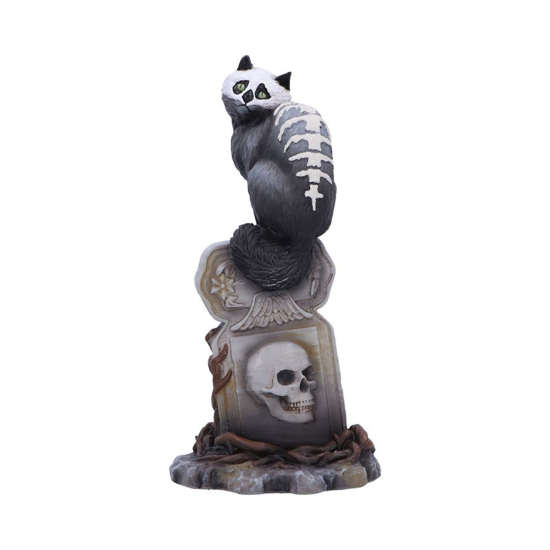 Gothic Skull Cat by Martin Hanford 15cm