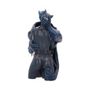 Batman Catwoman DC Collectible Bust 30cm 3
