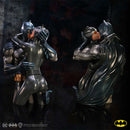 Batman Catwoman DC Collectible Bust 30cm 8