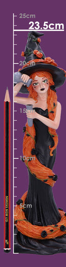Cinnamon Sugar Spice Witch Figurine 23.5cm 8