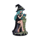 Sage Sugar Spice Witch Figurine 17.5cm 4