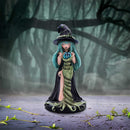 Sage Sugar Spice Witch Figurine 17.5cm 7