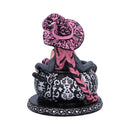 Baie Rose Sugar Spice Witch Figurine 14.5cm 3