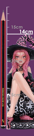 Baie Rose Sugar Spice Witch Figurine 14.5cm 8