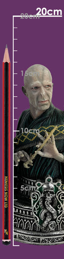Harry Potter Lord Voldemort Dark Mark Bookend 20.5cm 10