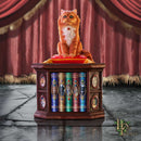 Mad About Cats Box by Lisa Parker 16.5cm 7