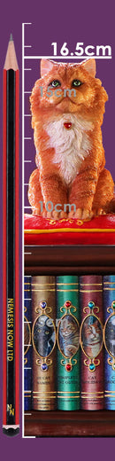 Mad About Cats Box by Lisa Parker 16.5cm 9