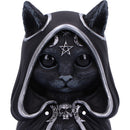 Zefur Collectible Cat Cult Cutiesa Figurine 10cm 5
