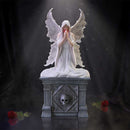 Only Love Remains Fairy Figurine Storage Box 20.3cm by Anne Stokes 7