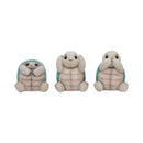 Three Wise Tortoises Figurines 8cm