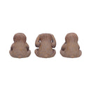 Three Wise Sloths Figurines by Nemesis Now 8cm 3