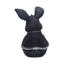 Bunerius 9.7cm Resin Statue 3