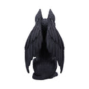 Griffael 22.5cm Large Cult Cuties Figurine 3