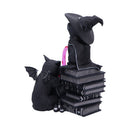 Cult Cuties Curious Cauldron 18.5cm 4