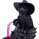 Cult Cuties Curious Cauldron 18.5cm 6