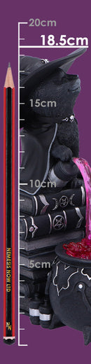 Cult Cuties Curious Cauldron 18.5cm 9