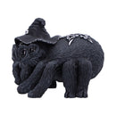 Arachnias 8cm Cult Cuties Figurine 3