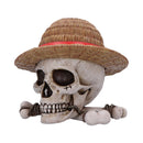 One Piece Luffy Jolly Roger Box 19.5cm 2