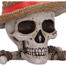 One Piece Luffy Jolly Roger Box 19.5cm 5