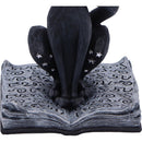Conjure Spell Cats Figurine 15.2cm 6