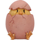 Three Wise Chicks 6.7cm Resin Figurines 5