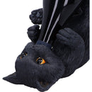 Black Cat Guzzler 24cm Wine Bottle Holder 5
