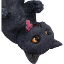 Black Cat Guzzler 24cm Wine Bottle Holder 6
