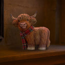 Highland Snug 12.2cm 8