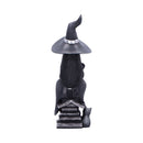 Little Souls Shine Figurine 13.5cm 3