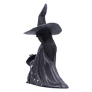 Little Souls Twilight Witch and Cat Figure 10cm 2