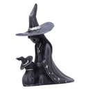 Little Souls Twilight Witch and Cat Figure 10cm 4