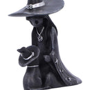 Little Souls Twilight Witch and Cat Figure 10cm 5