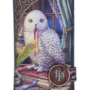 Guardian of Spells Embossed Purse 18.5cm Lisa Parker Collectible 6