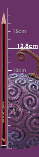 One Piece Devil Fruit Box 12.8cm 10