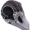 Quoth The Raven 20.2cm Resin Statue 6