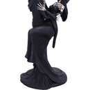 Eternal Dance 24.3cm Gothic Skeleton Figurine 6