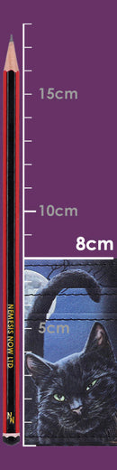 A Brush With Magick Card Holder 10.5cm 4