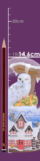 Harry Potter Hogsmeade Village Snow Globe 14.6cm 9
